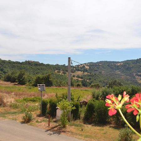Agriturismo Masseria Castiglione Gallicchio Ngoại thất bức ảnh