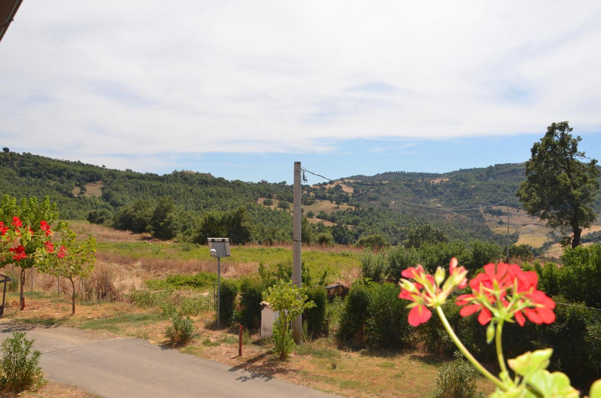 Agriturismo Masseria Castiglione Gallicchio Ngoại thất bức ảnh